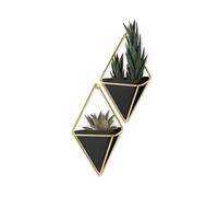 Umbra Trigg Hanging Planter Vase and Geometric Wall Decor Vessel - Great For Succulent Plants, Air Plant, Mini Cactus, Faux Plants and More, Set of 2,