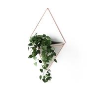 Umbra Trigg wall vase & geometric decoration - planter for indoor plants, succulents, air plants, cacti, artificial plants and more, concrete/copper, large, 1 piece