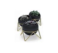 Umbra Potsy Set of 3 Ceramic Pots with Stands 3pc Indoor Planter