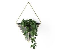 Umbra Trigg Hanging Planter Vase & Geometric Wall Decor Ceramic Container - Great For Succulent Plants, Air Plant, Mini Cactus, Faux Plants and More, Large, Black/Brass