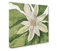 Umbrella Tree by Mary Vaux Walcott Canvas Print | Gallery Wrapped 30mm Frame Wall Art | 14x14 inches | Ready to Hang | Modern Landscape Picture | Living Room Bedroom Lounge Office