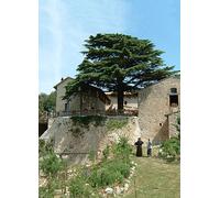 Umbrien - Voyages-Voyages [DVD]