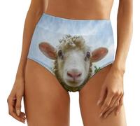 UMENG Sheep Women's No Show Underwear High Waist Panty Seamless Bikini Brief Panty