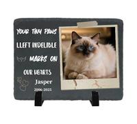 Umitive Custom Pet Memorial Stone - Personalized Cat Grave Marker with Name & Photo - Sympathy Gifts for Loss of Beloved Pet - Cemetery Decor - Rainbow Bridge Memorial for Cats (Style M)