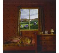 Umphrey's Mcgee - Safety In Numbers [Us Import]