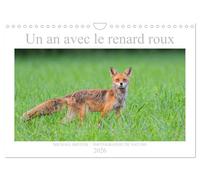 Un an avec le renard roux (Calendrier mural 2026 DIN A4 vertical), CALVENDO calendrier mensuel: Animal sauvage beau et intelligent