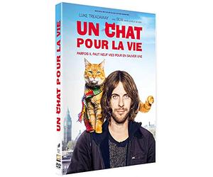 Un chat pour la vie