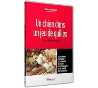 Un Chien dans un jeu de quilles