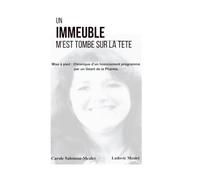 Un immeuble m'est tombé sur la tête: Mise à pied : Chronique d’un licenciement programmé par un Géant de la Pharma.
