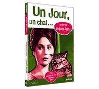 Un jour, un chat