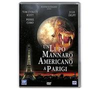 Un Lupo Mannaro Americano A Parigi