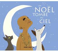 Un Noel tombe du ciel