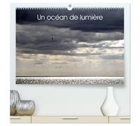 Un océan de lumière (Calendrier mural haut de gamme 2027 DIN A2 vertical), CALVENDO calendrier mensuel: Jeu de lumière sur l'océan et la mer