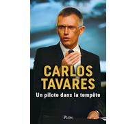 Un pilote dans la tempête