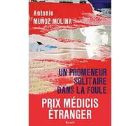 Un promeneur solitaire dans la foule