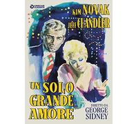 un solo grande amore DVD Italian Import