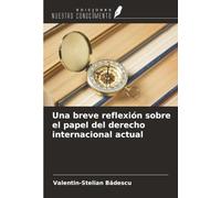 Una breve reflexión sobre el papel del derecho internacional actual
