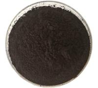 UNADULTERATED Wild Mountain POLYRACHIS ANT/Polyrhachis vicina Roger Double Extract Powder, 100g.