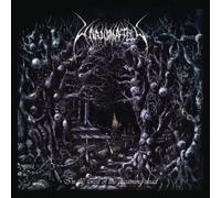 IN THE FOREST OF THE DREAMING - UNANIMATED - vinyl