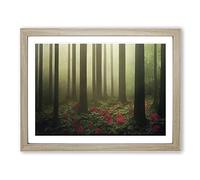 Unbelievable Forest Framed Wall Art Print A2 Oak