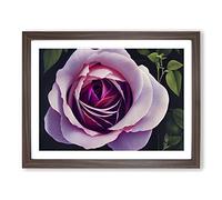 Unbelievable Rose Flower BLK Framed Wall Art Print A2 Walnut