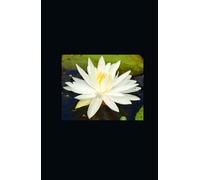 Unbothered, Unfiltered, Unapologetic