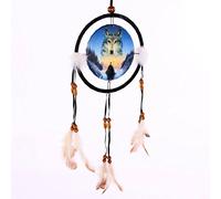 Unbranded Decorative Cosmic Wolf Spirit in the Sky 16cm Dreamcatcher