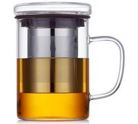 Unbreakable 15OZ Glass Tea Cup with Infuser and Lid, Hickened Heat-Resistant Borosilicate Glass, Tea Infuser Mug with Stainless Infuser