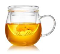 Unbreakable Glass Tea Cup with Infuser and Lid - 17oz Mug for Loose Leaf Tea, Infusion Mug with Glass Filter and Glass Lid