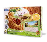 Uncle Milton Giant Ant Farm Extra Large Viewing Area with Ant Picnic Scene,