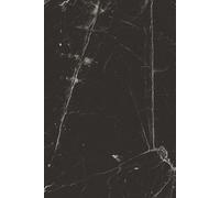 Undated Black Lined Notebook 365 Pages: Hardcover Journal for Writing & Planning