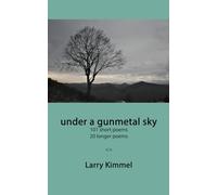 under a gunmetal sky: 101 short poems 20 longer poems
