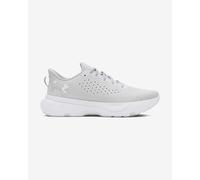 Under Armour Infinite Running Shoes White EU 44 Man