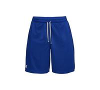 Tech Mesh Shorts Royal/Steel M