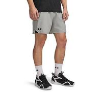 Under Armour Mens UA Vanish Woven 6 Inch Shorts Titanium/Ultimate Black S