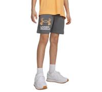 Under Armour Tech Logo Shorts