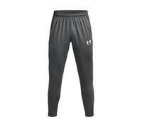 UNDER ARMOUR Challenger Pants - Grey, Grey, Size S, Men Grey
