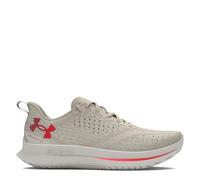 Under Armour Velociti 4 Women's Running Shoes - AW24