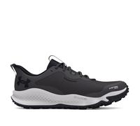 Women's Trainers Under Armour Charged Maven Trail Running Shoes in Grey