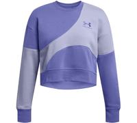 Under Armour Womens/Ladies Crew Neck Crop Sweatshirt12 UK Purple GT25437