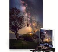 Under The Nightsky Adult Jigsaw Puzzles 1000 Pieces Brain Agility Easy Enjoyment Secure Join Fine Xmas Gift (38x26cm)