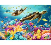 Under the Sea