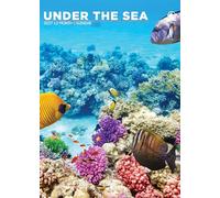 Under The Sea - A3 Calendar 2027
