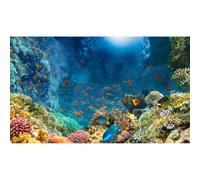 Under The Sea Aquarium Background Colourful Corals Reefs Underwater Marine Views Fish Tank Background Ocean Lives Landscape Terrarium Background Tropical Fishes Aquarium Backdrop Decors 36x18in
