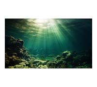 Under The Sea Aquarium Background Underwater Fish Tank Background Ocean Floor Rock Cave Sunray Terrarium Background Tropical Fish Ocean World Aquarium Backdrop for Fish Tank Decorations 48x24in