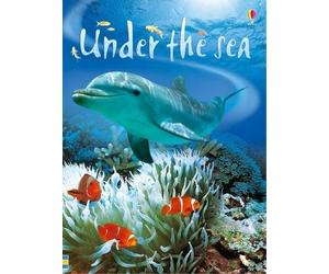 Under the Sea (Usborne Beginners) by Patchett, Fiona New Edition (2006)