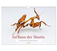 Under the spell of the mantis UK-Version (Wall Calendar 2026 DIN A4 Landscape), CALVENDO 12 Month Wall Calendar