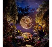 Waves Rush In - Under The Static [VINYL]