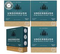 Nathan and Sons - Underbrush Gum - Sugarless Gum with Nano Hydroxyapatite for Fresh Breath and Enamel Care - Pack of 4