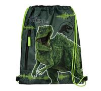 Jurassic World Kids Shoe Bag, Gym Bag with Zip Pocket, Approx. 32 x 41 cm, Green, Standard, Classic